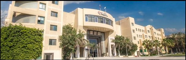 Misr International University APIE BUSINESS