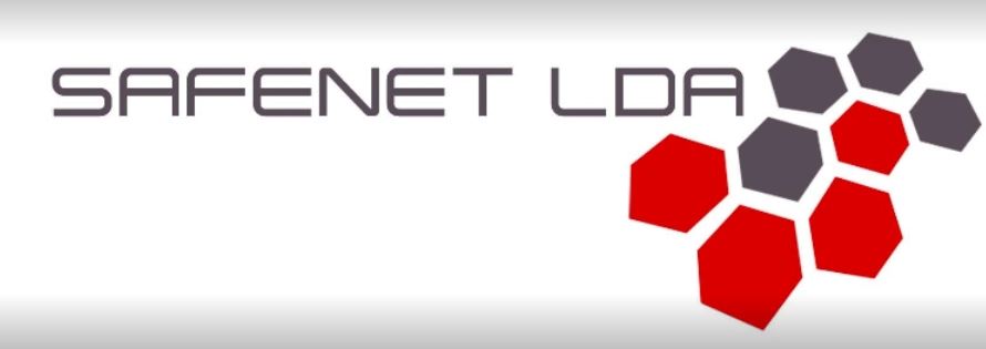 SafeNet Lda - APIE BUSINESS