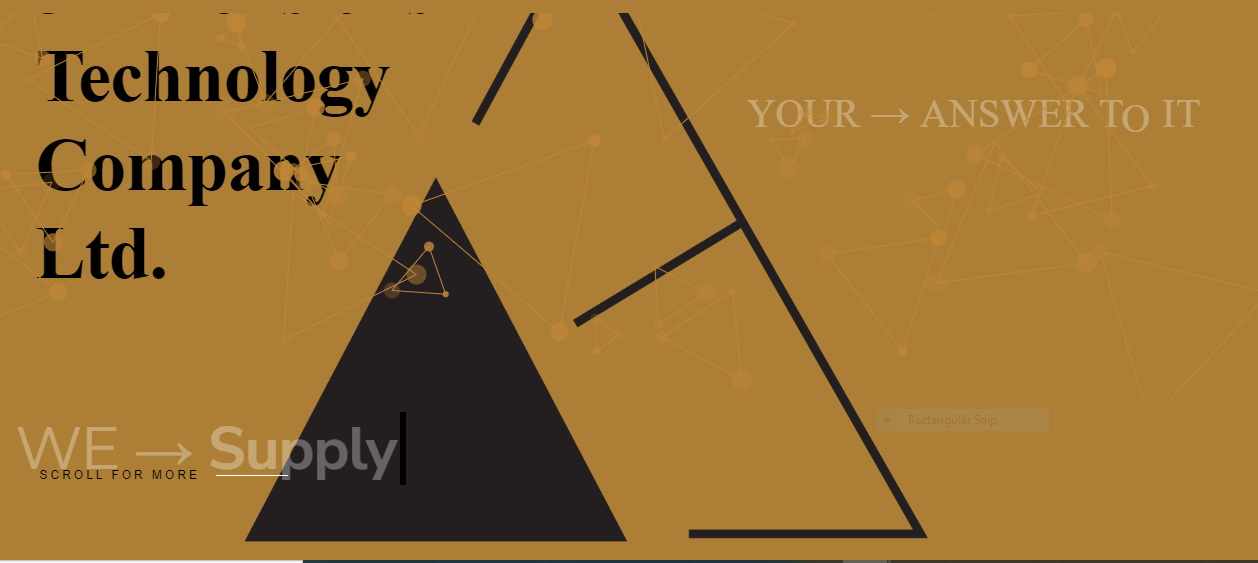 3 Dimensions Technology Company Limited APIE BUSINESS