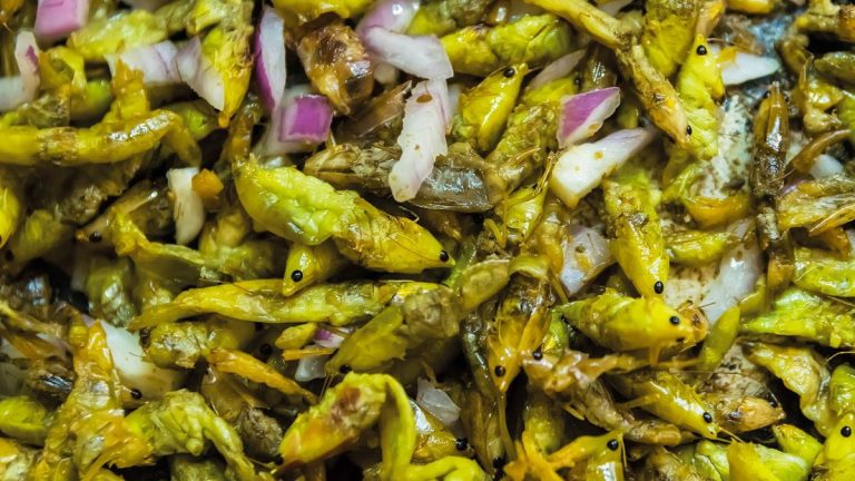 Ouganda : les sauterelles, mets délicieux et lucratif