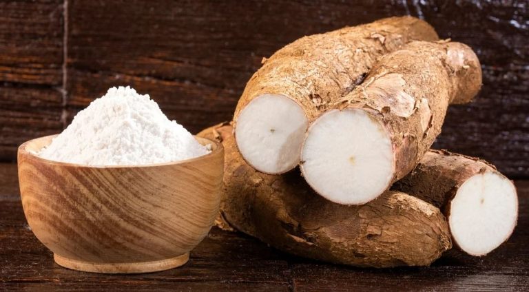 Des feuilles aux racines, le manioc nourrit l’Afrique