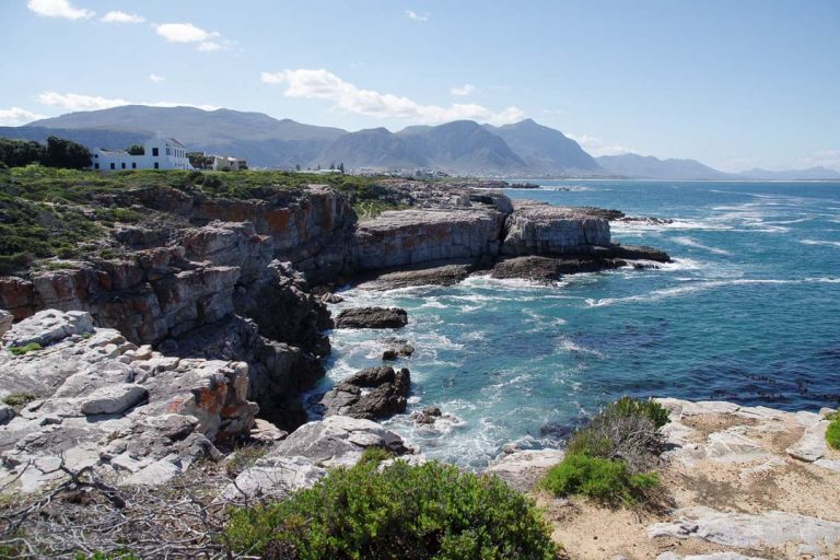 HERMANUS : le meilleur endroit pour observer les baleines en Afrique du sud
