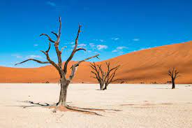 Deadvlei