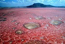 Découvrir le lac Natron en Tanzanie
