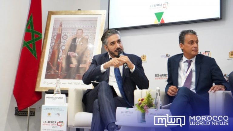 UM6P and OCP Tout Efforts to Support Startups in Africa