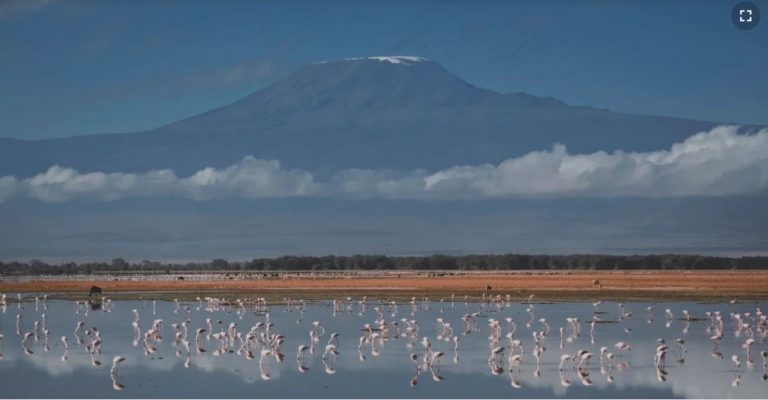 Internet: le Kilimandjaro en haut-débit