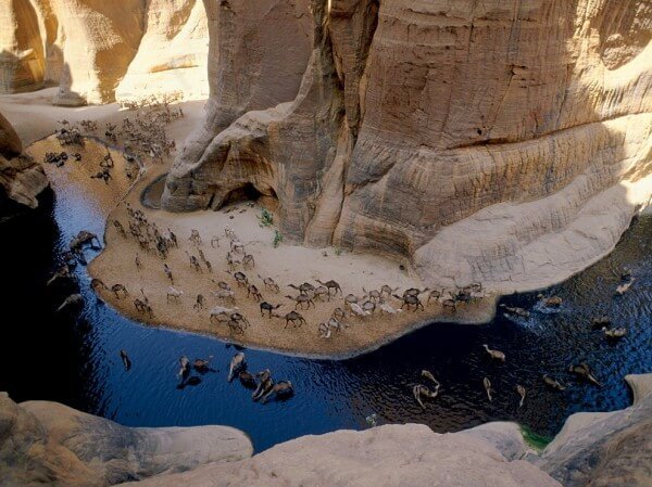 La Guelta d’Archei, une oasis surprenante au Tchad