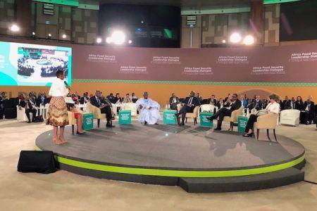 En Afrique, Les Levées De Fonds Des Start-up Agrifoodtech Ont Bondi De 250% En 2021 (Rapport)