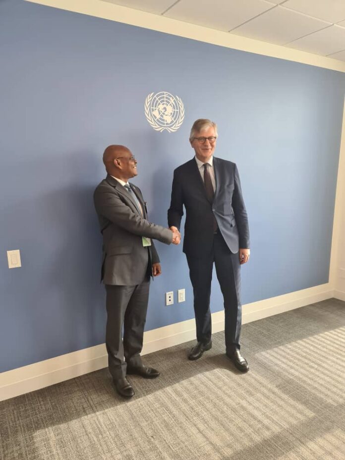 La Situation Politique Et Sécuritaire En Afrique Centrale Préoccupe La CEEAC Et L’ONU