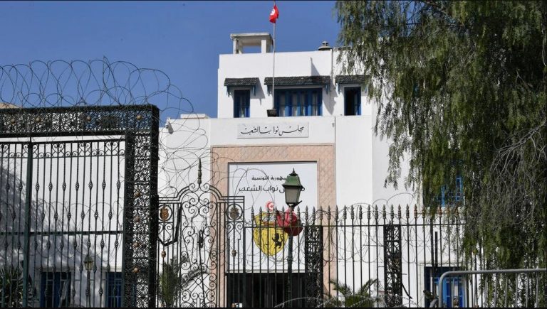 En Tunisie, Une Nouvelle Loi Électorale Réduit Le Rôle Des Partis Politiques