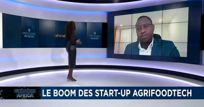 Le Boom Des Start-up Agrifoodtech En Afrique