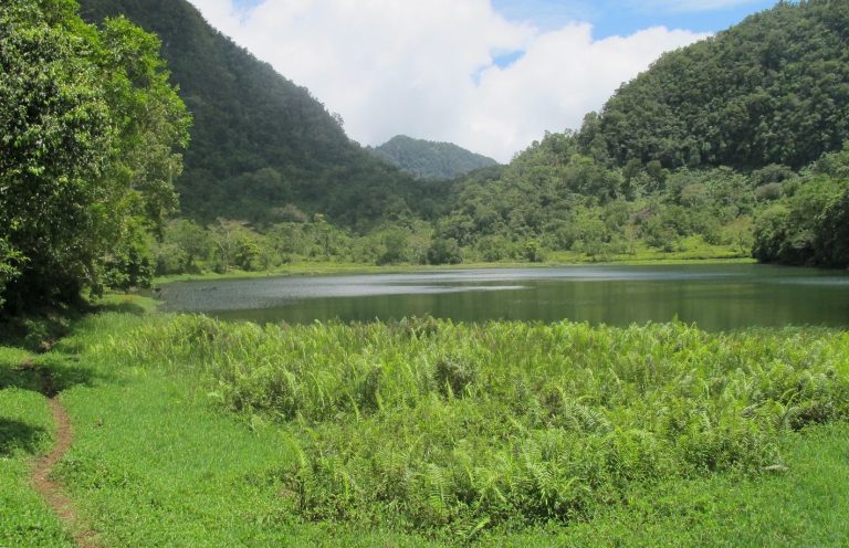 Voyage Aux Comores – Ascension Du Mont Ntringui