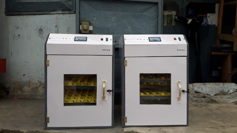 Innovation Technologique : Création D’Une Première Couveuse Automatique D’Œufs Made In Congo