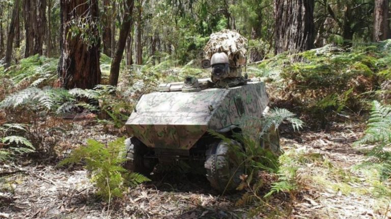 Vic-Made Robot To Fight African Poachers