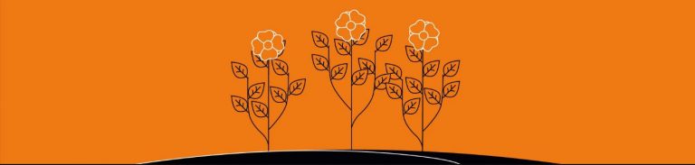 How Start-Ups Use Innovation To Support Eco Causes In Africa