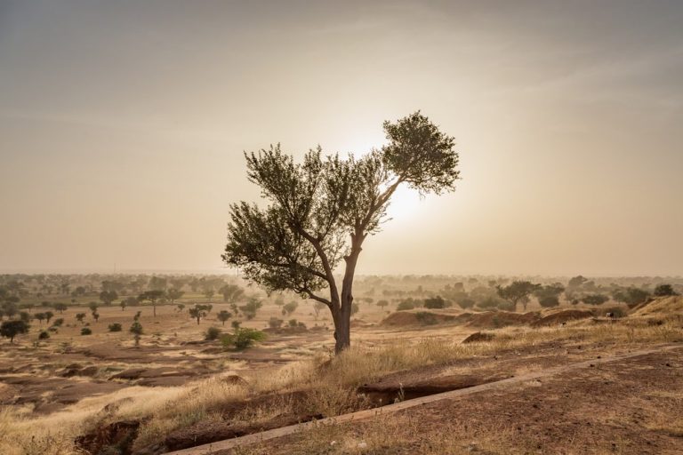 Le Sahel Et Les Réserves