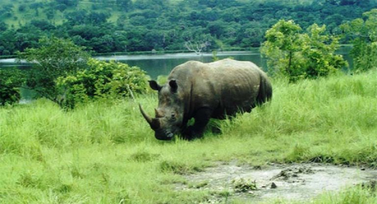 Réserve de faune D’ABOKOUAMÉKRO
