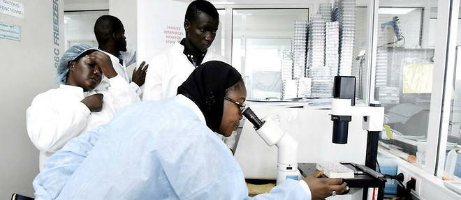 Recherche Scientifique : Les Africaines Ne Lâchent Rien
