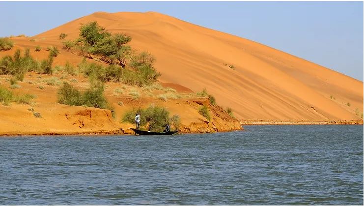 Dune Rose De Koyma