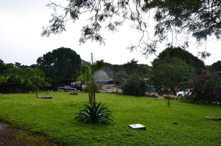 Le Ranch De Ngaoundaba : Une Pépite Au Cœur De L’Adamaoua