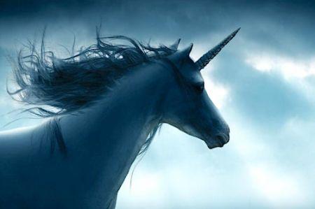 African Unicorns, Le Premier Evènement Dédié Aux Futures Licornes Africaines Se Lance Au Maroc
