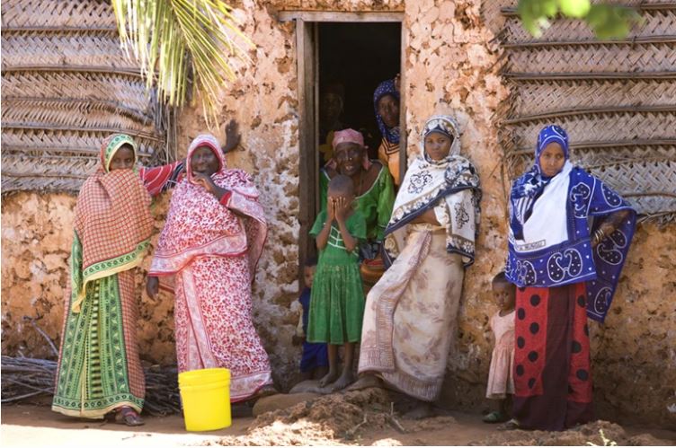 Ancient DNA Illuminates Swahili Culture’s Origins