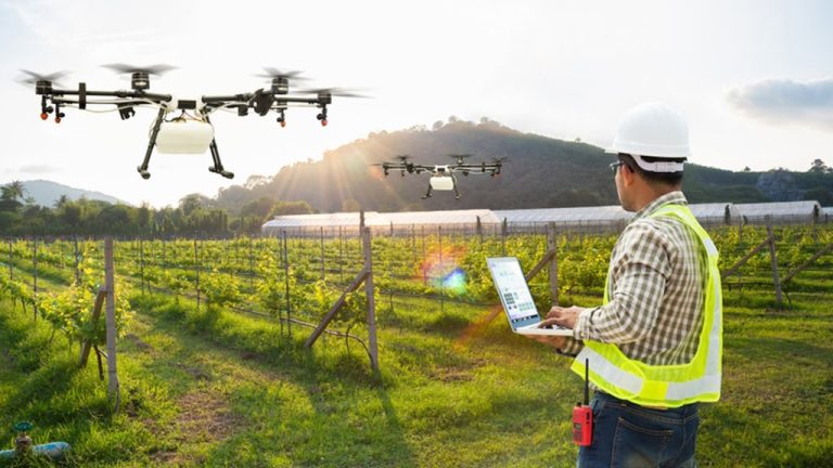 AFRIQUE : La Start-up Kenyane Amini Lève 2 M$ Pour Ses Technologies Climatiques