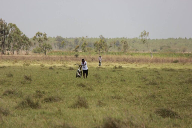 The Rebirth Of Anti-Elite Land Politics In Ruto’s Kenya