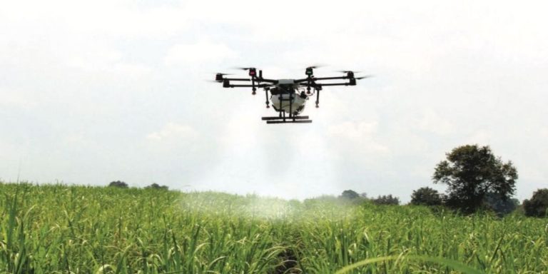 Agrobusiness : Le Launchpad Agritech Revient Pour Une 2e Édition