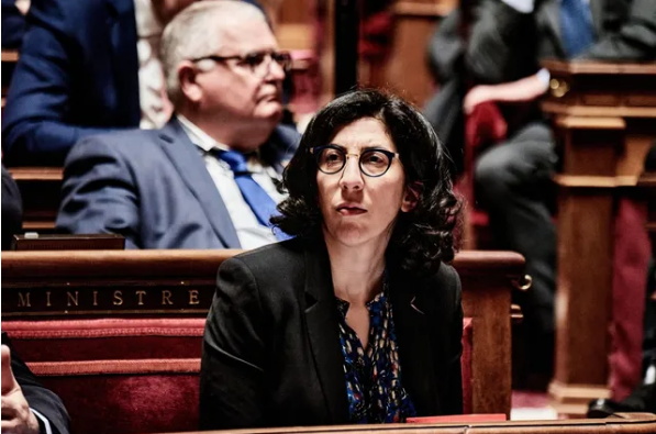 France Suspends Cultural Cooperation With Three West African Countries