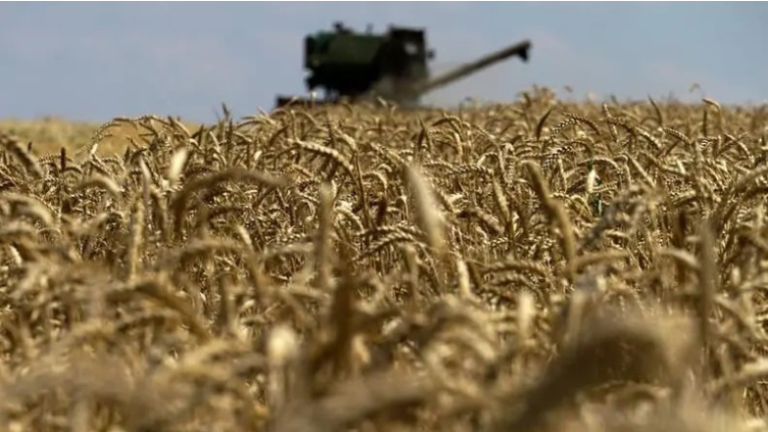 Food insecurity In Africa: Impact Of Nato-Driven Politics