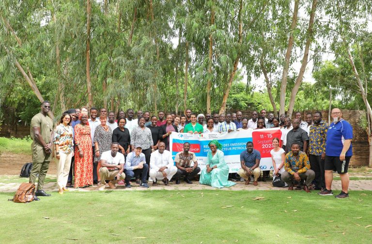 Resource-rich African Countries Target Emissions Reductions In Energy Sector With Commonwealth Support