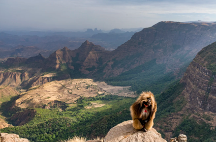The East African Rift System 
