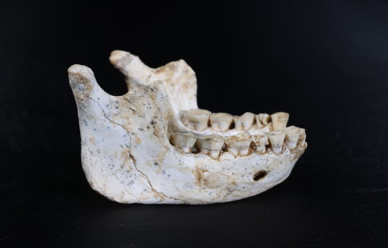 773,000-Year-Old Hominin Fossils Found In Morocco