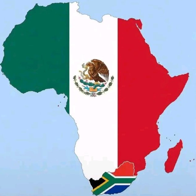 Coupe du Monde : L’Afrique du Sud Rejetée par les Supporteurs Africains