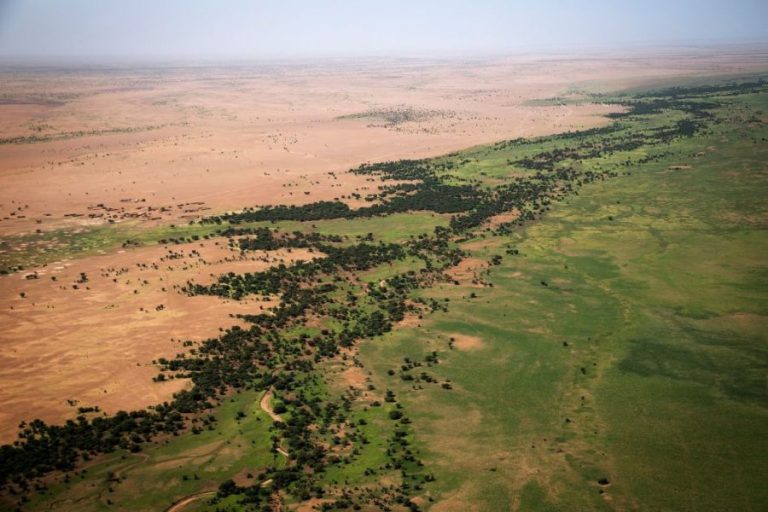 Africa’s Great Green Wall