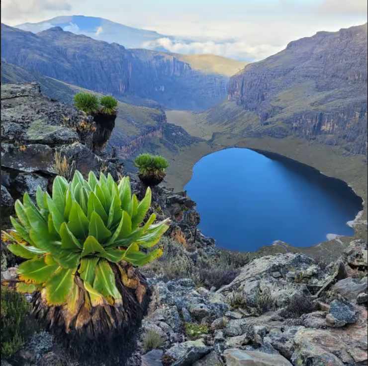 Mount Kenya National Park